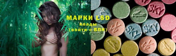 spice Карпинск