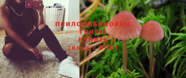 spice Карпинск