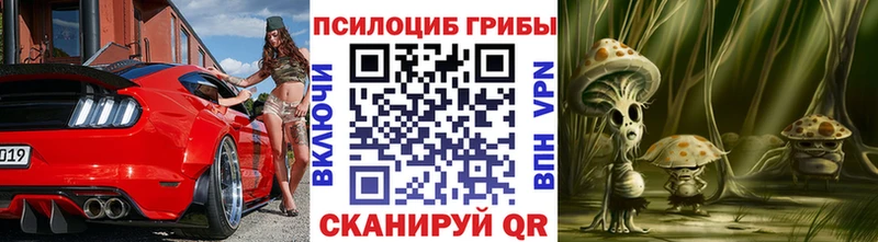 Галлюциногенные грибы GOLDEN TEACHER Купить где Снежногорск
