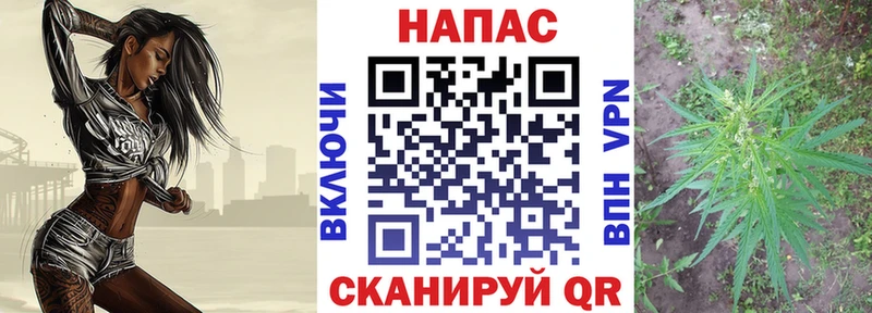 Шишки марихуана Amnesia Купить Снежногорск